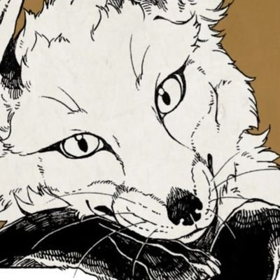 yanzalegacy's profile picture. absolutely not a fox (loatwt n ndtwt)