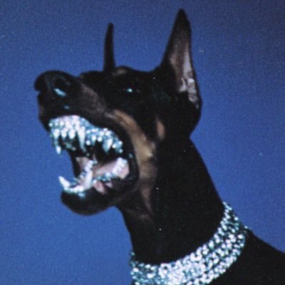 sicily_76's profile picture. 