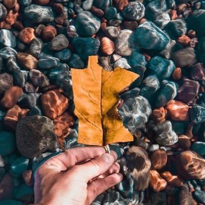 StarihaBrent's profile picture. Music junkie / #mnwild / MMA Fight Fan / Arm Wrestling Fanatic / Cannabis / Pop culture lover / Love my country 🇺🇸