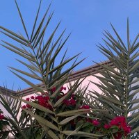 حسام عبد المجيد (@hussamabdulmaje) 's Twitter Profile