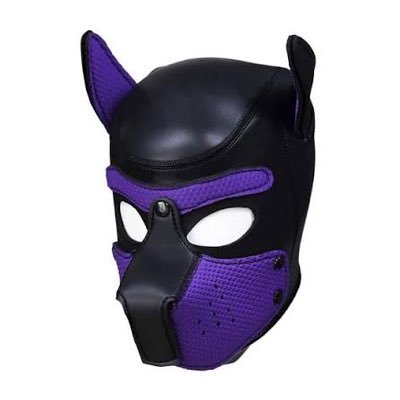 SniffingPup's profile picture. Gay pup brain. Horny, funny, and probably sniffing the wrong things. 🐶💨