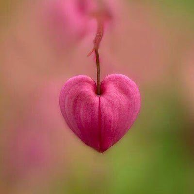 EloisaGarcia01's profile picture. 