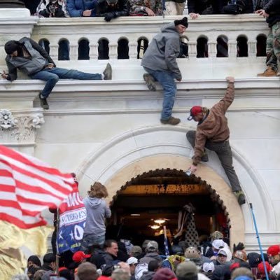 UnsuckDCAnoise's profile picture. calling out all the fascists