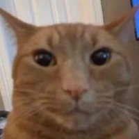 . (@virusssav) 's Twitter Profile