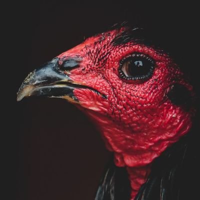 Victor_Guzman87's profile picture. Frente en alto, mente positiva, Dios en el corazón, paso firme, metas claras y siempre humilde.