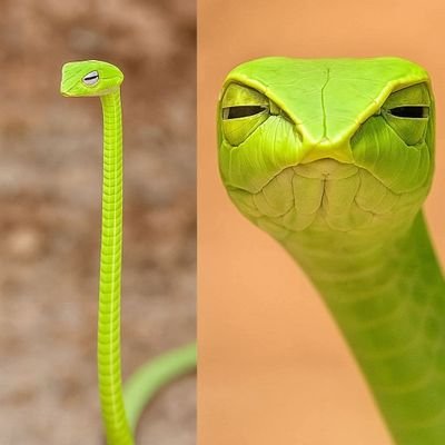 thisgirlsaysno's profile picture. Lady, Navy Veteran, College Student, enjoy Nerdy stuff.