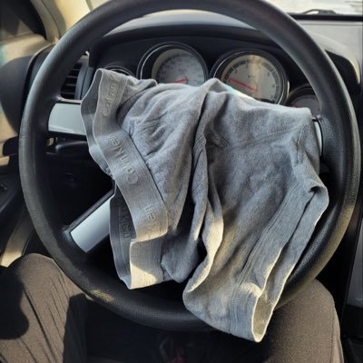 lee1511756's profile picture. 