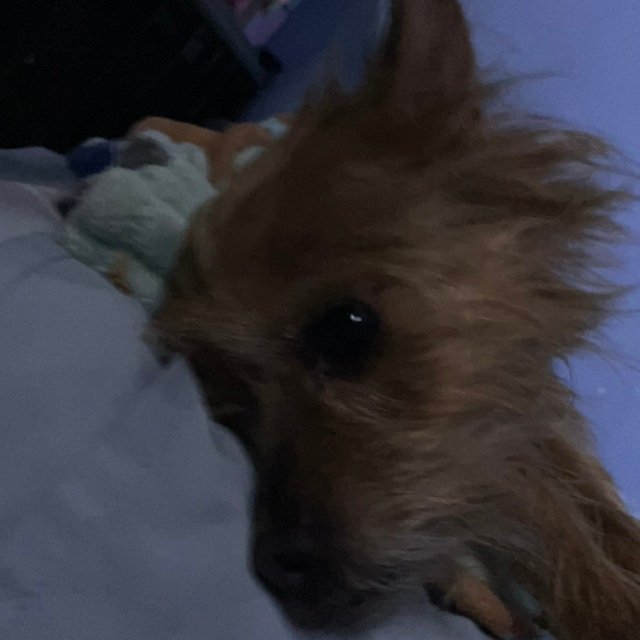 kacperczerwiec's profile picture. 