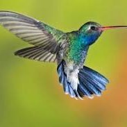 HumMan8642's profile picture. I pride myself in being honest and sincere, to all, in every way.