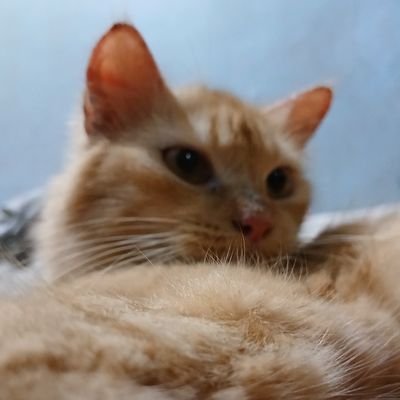 avgust_cloud's profile picture. 