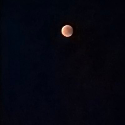 withbiwa's profile picture. ini akun bia baiq