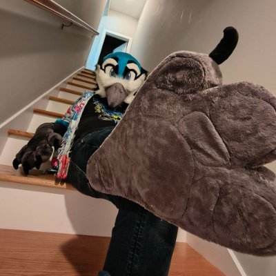 18+ Only. Kinky Ace. Locked in fursuits, plushsuits, quadsuits, bitchsuits, etc... Love being in bondage. Love suiting and bondage combined. DMs open. Age: 31