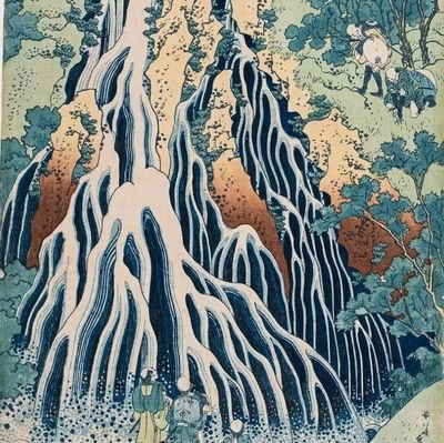 arya979's profile picture. 