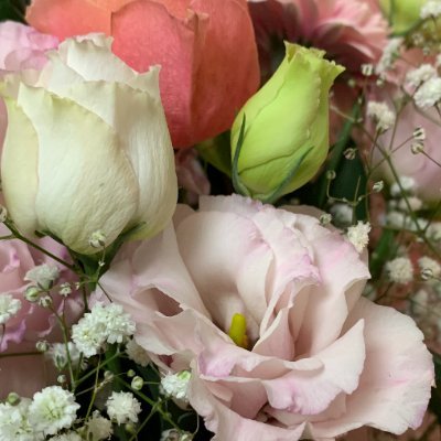 worldpeacewish's profile picture. 信教の自由、言論の自由を守る！
自由に呟き為になる情報を発信出来ればと思っておりますので宜しくお願い致します。