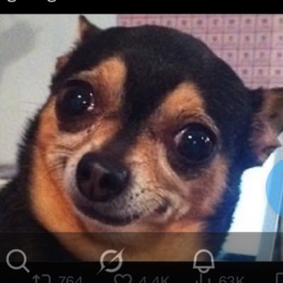 tarahj40's profile picture. Nah.