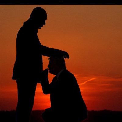 pmitton1's profile picture. 