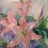 dnfa2s's profile image