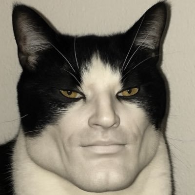 krZQQ_cs's profile picture. https://t.co/uhaQU7wb8d