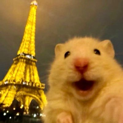 mynameiszomjeed's profile picture. ☀️