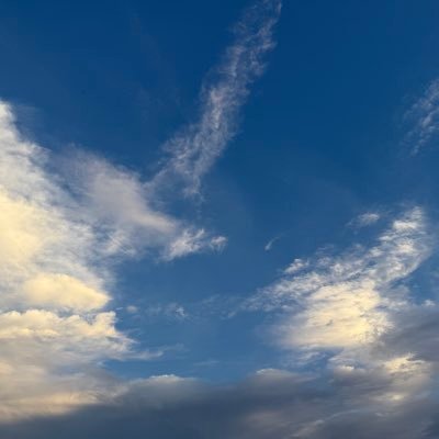 OhvMxunw's profile picture. 