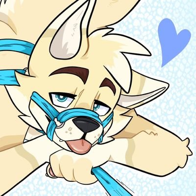 pandearroz16's profile picture. 