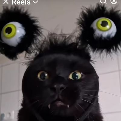 breezyrobin's profile picture. Psych & CJ Grad