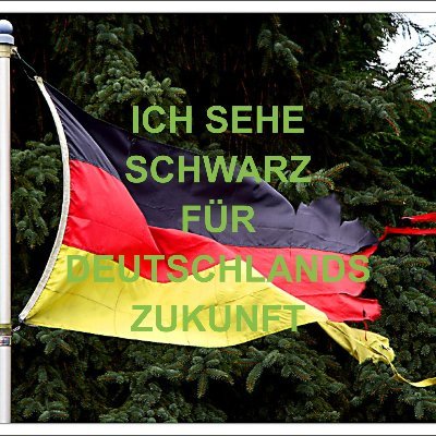 christiane460's profile picture. 