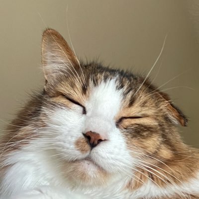 AuntCunty's profile picture. women fear me, fish want me