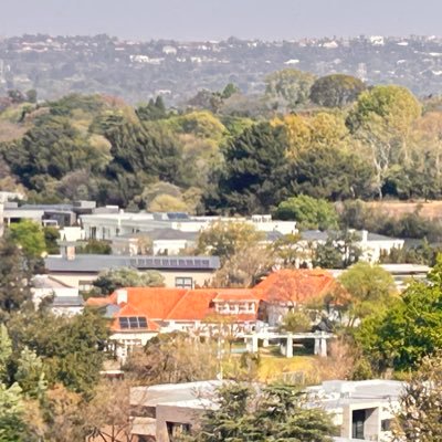 dikgang12343211's profile picture. 