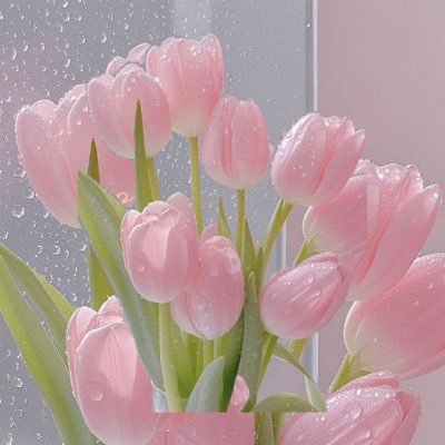 If He dresses the lillies with beauty and splendor,how much more does He love you?