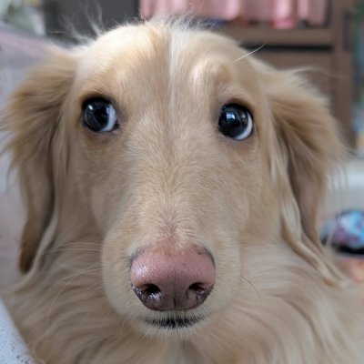 garflakizoid's profile picture. slop consumer