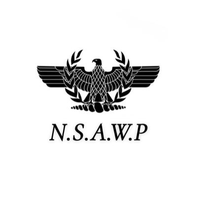 Nationalist Socialists American Workers Party. Hail victory ⚡️⚡️ #NSAWP #NewAmerica