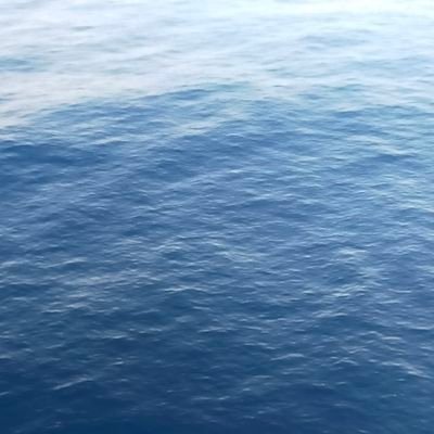 AlienigenaI's profile picture. 