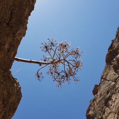 Mohsen_Qmn's profile picture. primary school teacher