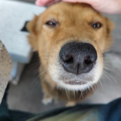 AppleJuiceee88's profile picture. 