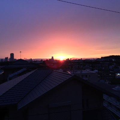 rrhime1264390's profile picture. 