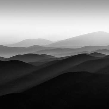 4259xp's profile picture. 📈