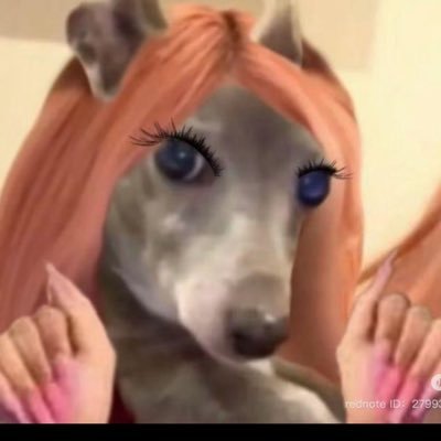 Fan del salseo, el cotilleo y las vibes Sálvame .Lista para el drama, pero con valores: contra el maltrato animal y la violencia de género. Telecinco da cringe