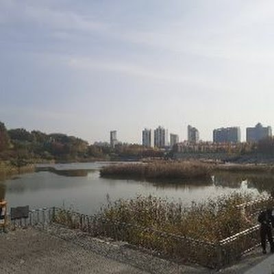 jayusijang29078's profile picture. 