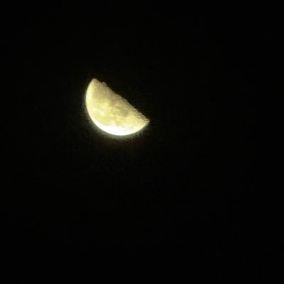 AliAlimahdy73's profile picture. 