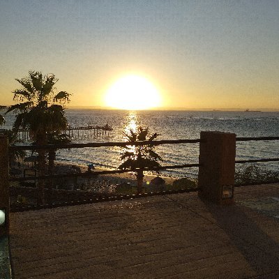 Carlo67100Cano's profile picture. 