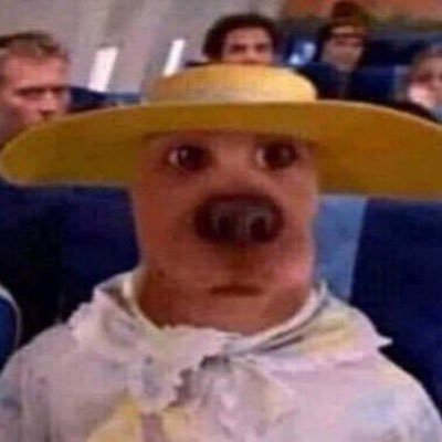 banny_bs's profile picture. 