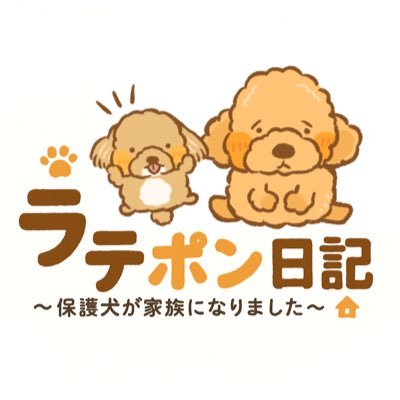 lattepondiary's profile picture. ポンくん🐶 繁殖犬引退後、保護犬として引き取られる。家族と出会い、色々な初体験をしながら愛情に目覚める✨ ラテくん🐶 先住犬で産まれた時から、沢山の愛情を受ける🤣✨✨ 初めて保護犬を飼った事で起こるドタバタを4コマ漫画でまとめてみました。