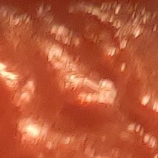 Femboyscookies's profile picture. TBD