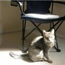 suzanne hester - @hesters - Twitter