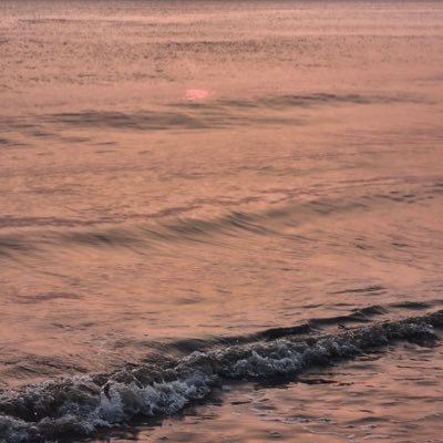 Antoinette79015's profile picture. 