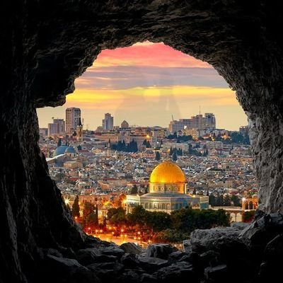 gulistantk's profile picture. 🇵🇸🍀