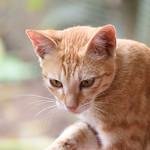 Ben_Mitchell18's profile picture. 独り言とか仕事とか。PowerPlatに悩む毎日。エンタメ好きの飽き性。ネトフリに踊らされています。読書女子の趣味垢。相互垢です。フォローさせてくださいね。フォロバしてくれたら嬉しいです。沢山の人と繋がりたいのでフォローお願いします。絶対フォロバします