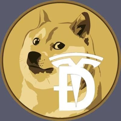 xnrn169498's profile picture. 