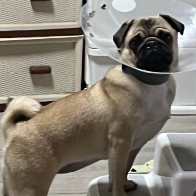 N6XiXv6Pdh56746's profile picture. 